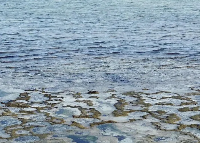 Shelly Bay Resort