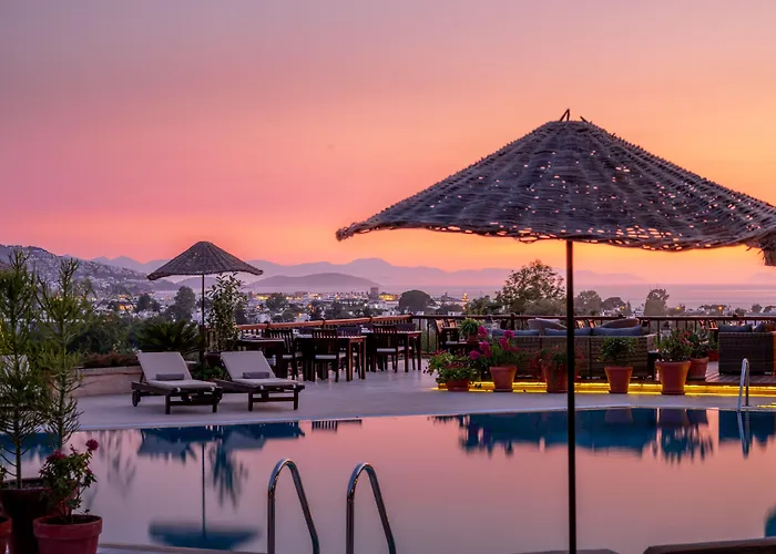 4Reasons Hotel + Bistro | 12+