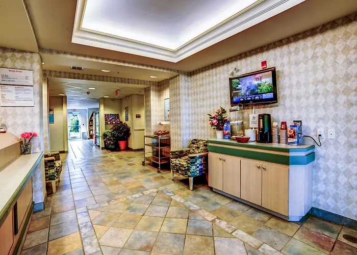 Motel 6-Huntsville, On