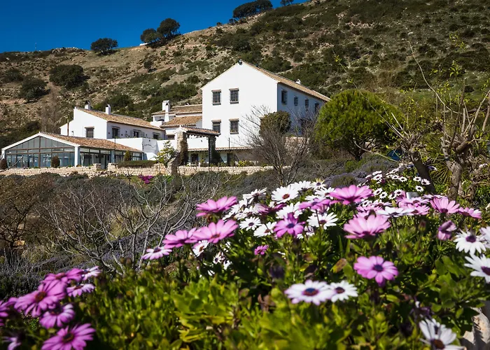 Hotel Fuente Del Sol