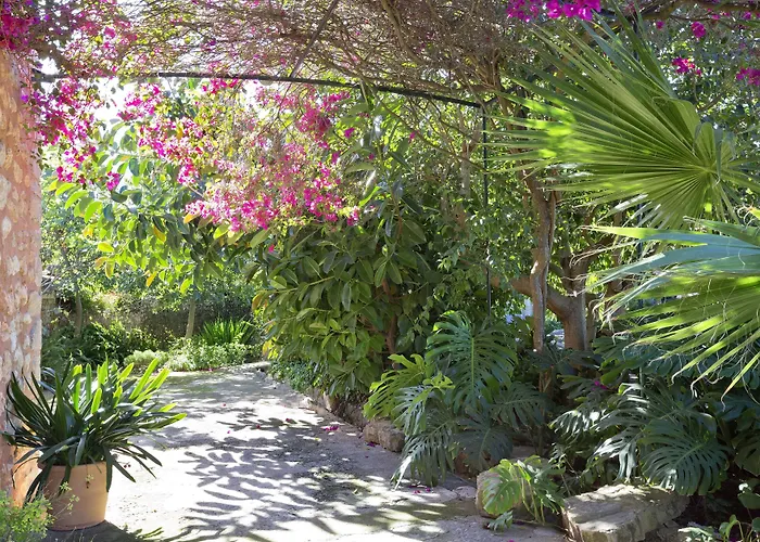Finca Ca'N Quatre