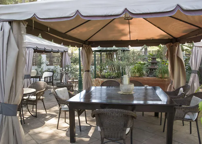 Hotel Boutique Mr Palau Verd - Adults Only