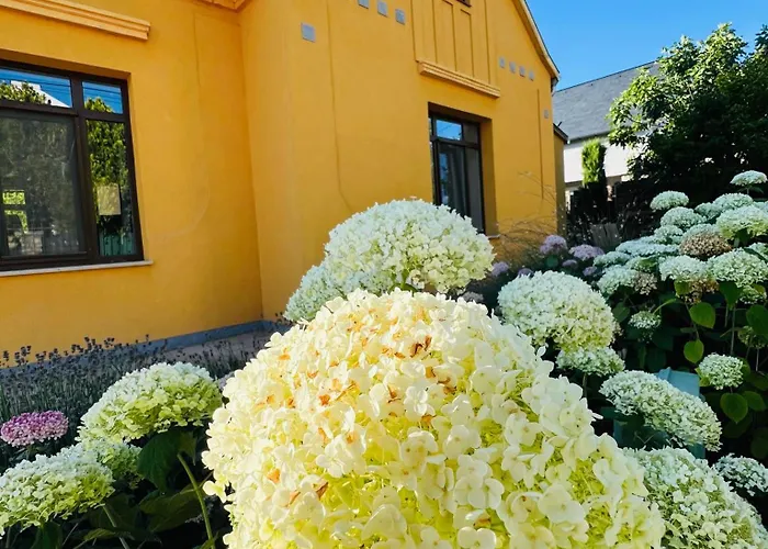 Fueredi Virag Villa