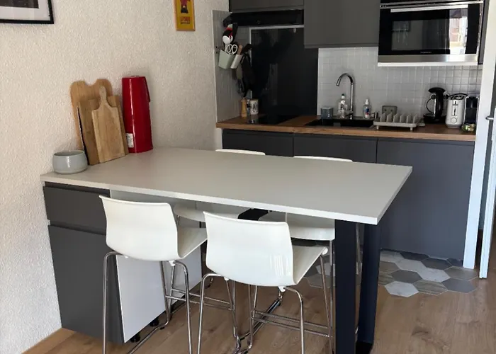 Location Studio Plein Centre Les Carroz