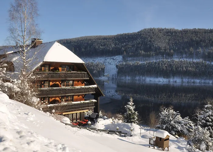 Alemannenhof - Boutique Hotel Am Titisee