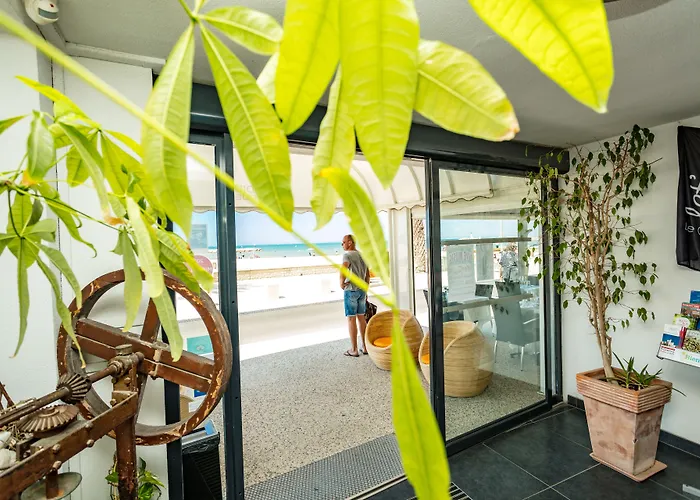 Hotel Restaurant Splendid Camargue