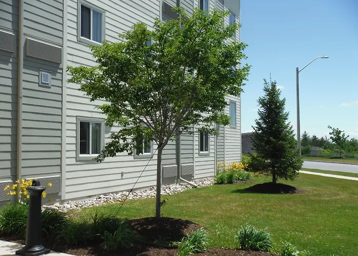 Motel 6-Kingston, On
