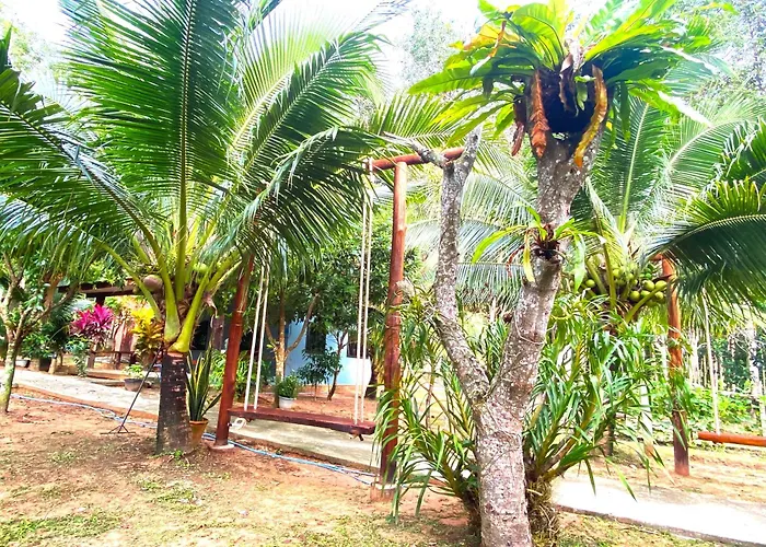 Nadia Resort Kohjum