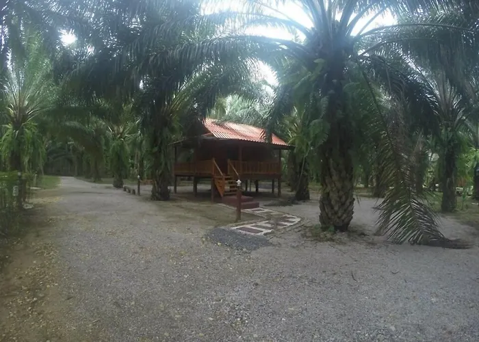 Khao Sok Palmview Resort