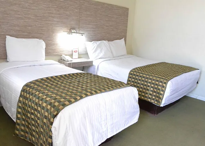 Hotel Flamingo