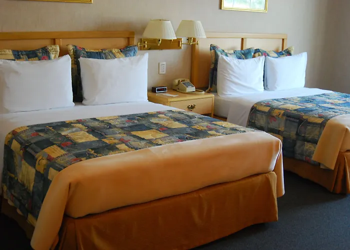 Rio Vista Inn Business High Class Tampico