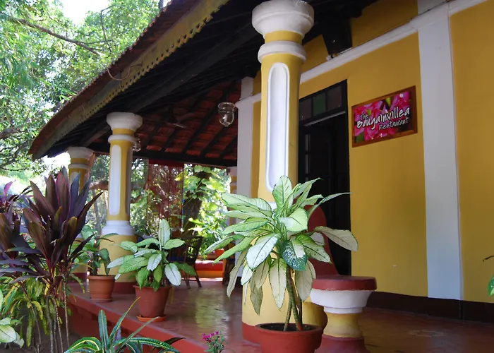 Granpa'S Inn Hotel Bougainvillea