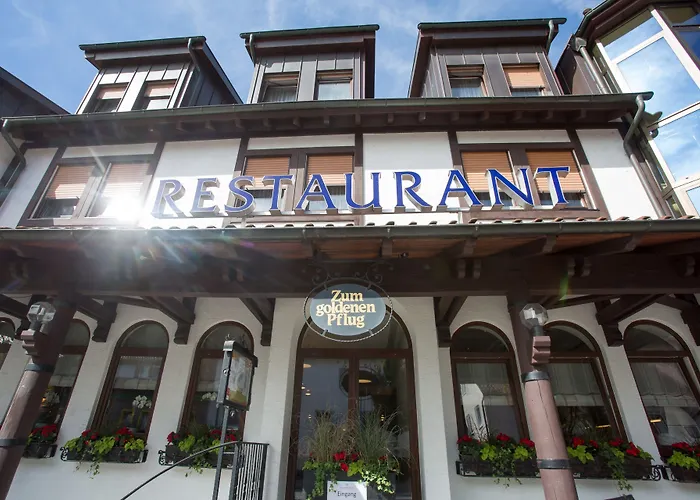 Hotel & Restaurant Goldener Pflug