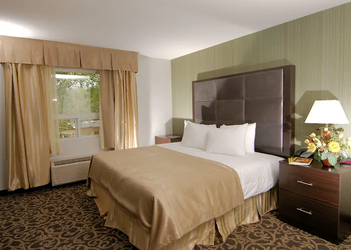 Paradise Inn And Kitchenette Suites Redwater