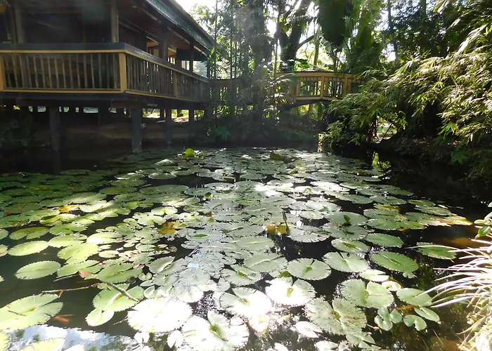 Rainforest Eco Lodge