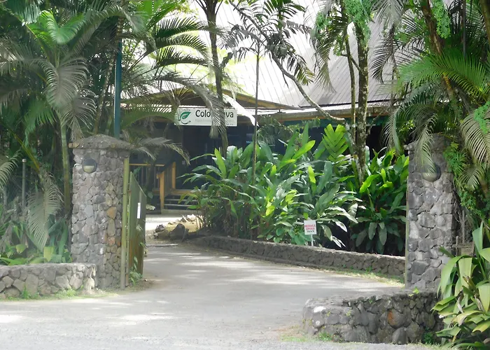 Rainforest Eco Lodge