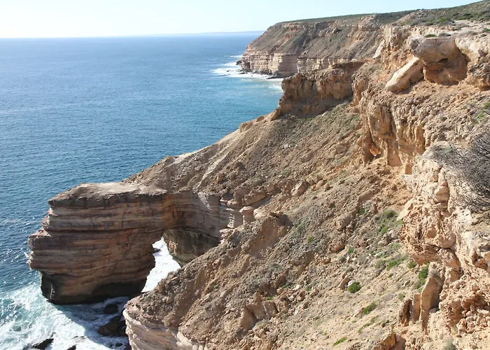 Pelican'S Nest