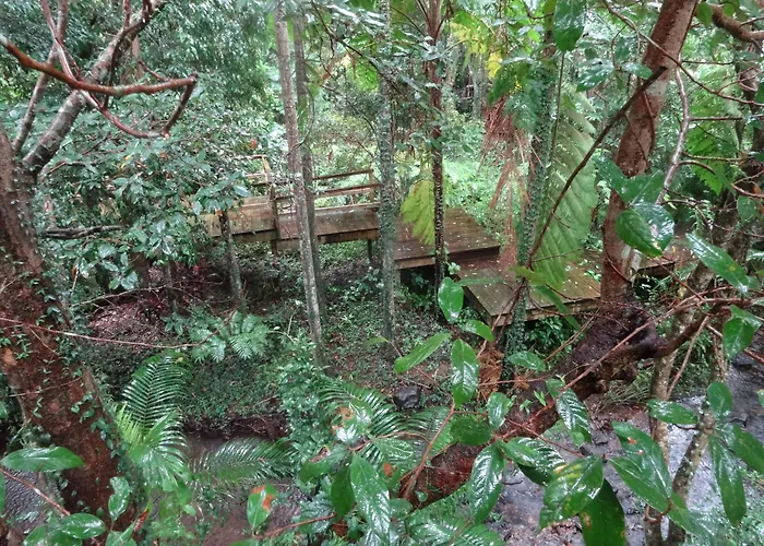 Treetops Montville
