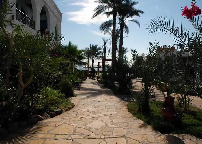Planet Oasis Resort Dahab