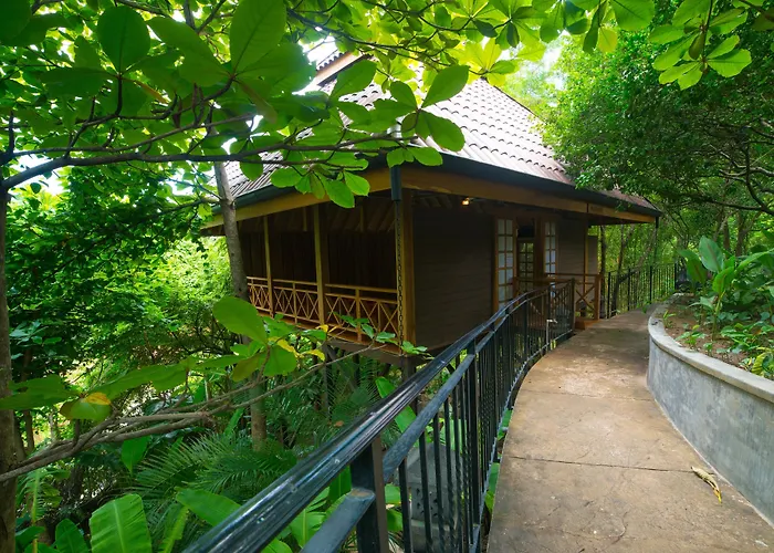 Bodhi Tree Yoga Resort