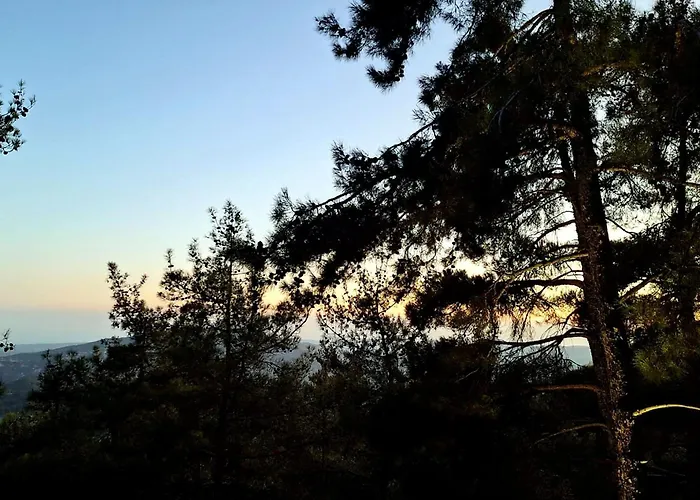 Paradise Peek, Platres