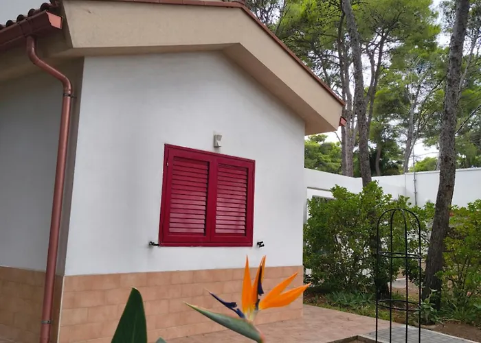 Villa Immersa In Pineta 100M Dalla Spiaggia