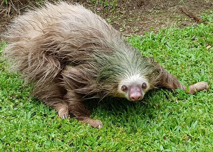 Ciudad Perdida Ecolodge