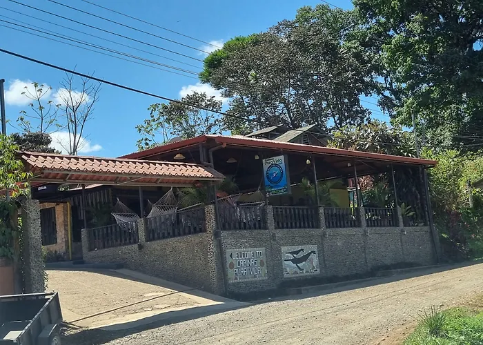 Cabinas Pura Vida B&B And Tour Operator