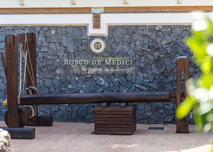 Resort & Winery Bosco De Medici