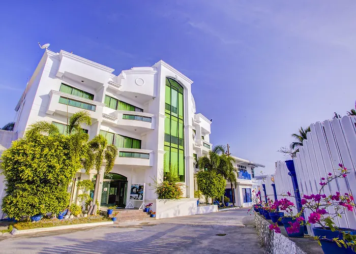 Vitalis White Sands