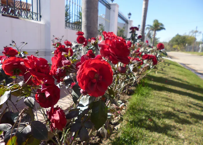 Garden House Hotel