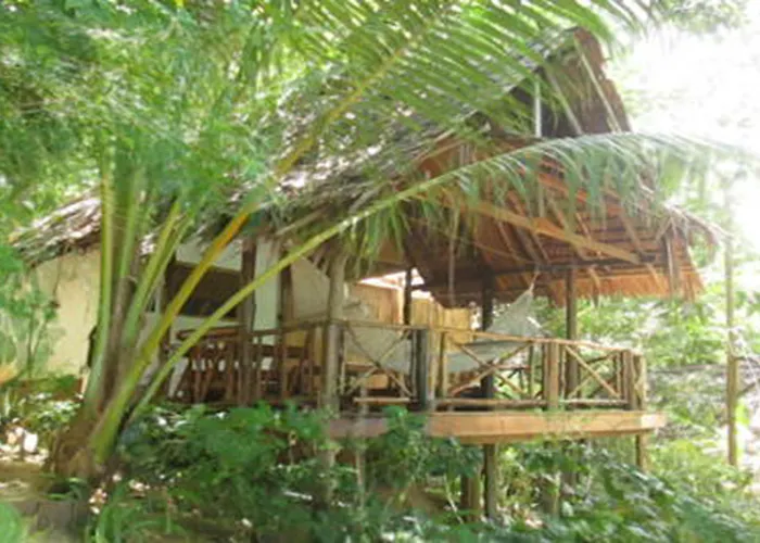 Viking Nature Resort