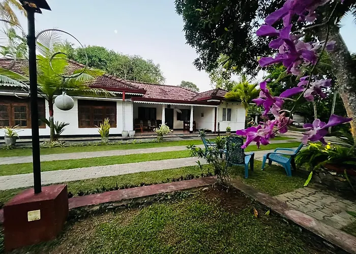 Home Peacock