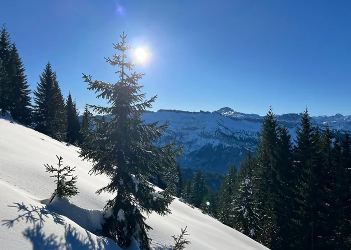 Edelschwarz Allgaeu