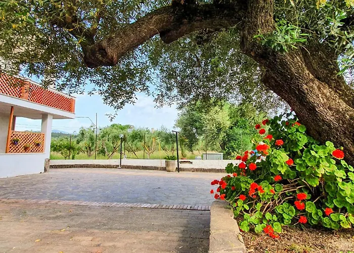 Lovely Apartment In Casal Velino With Wifi