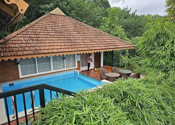 Athirapally Green Trees