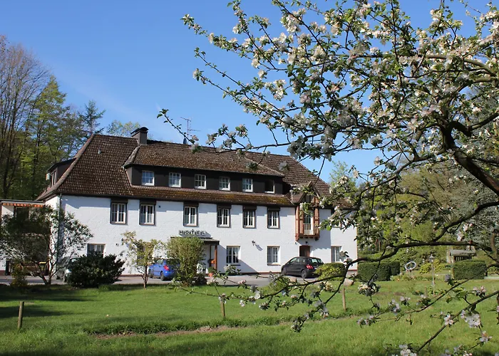 Hotel Wintersmuehle