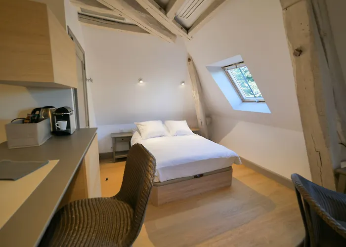 Residence De Tourisme Central Parc Tours