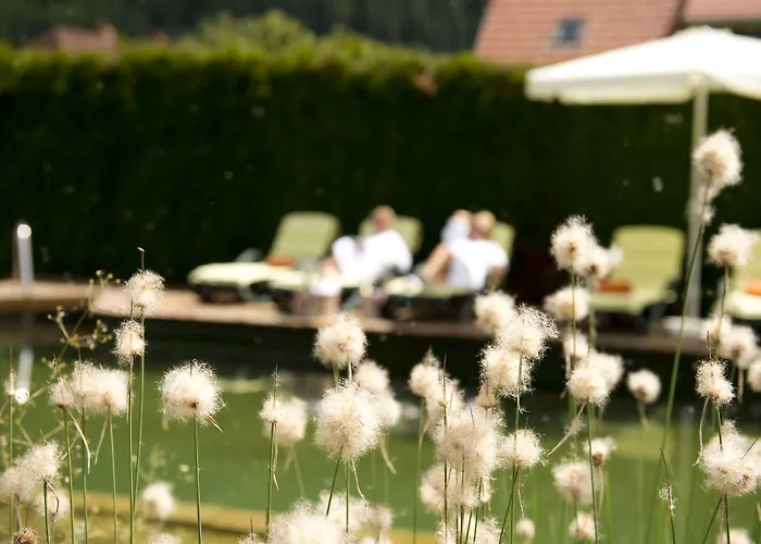 Roho Murau Hotel Rosenhof Murau