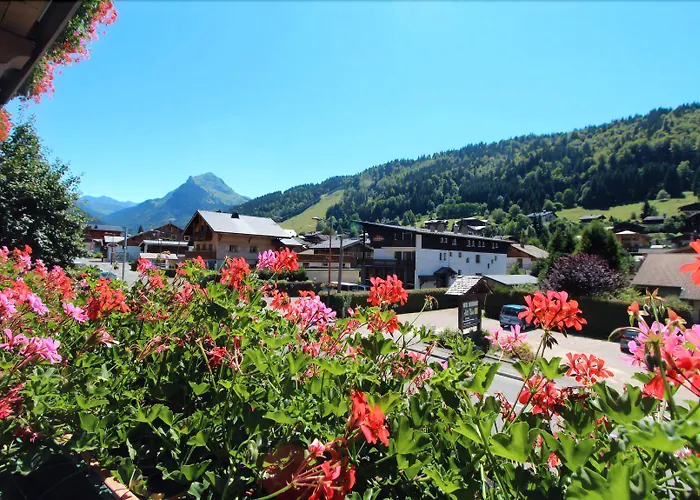 Hotel Neve
