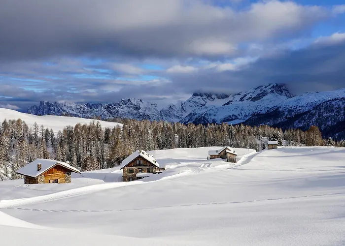 Chalet Aster