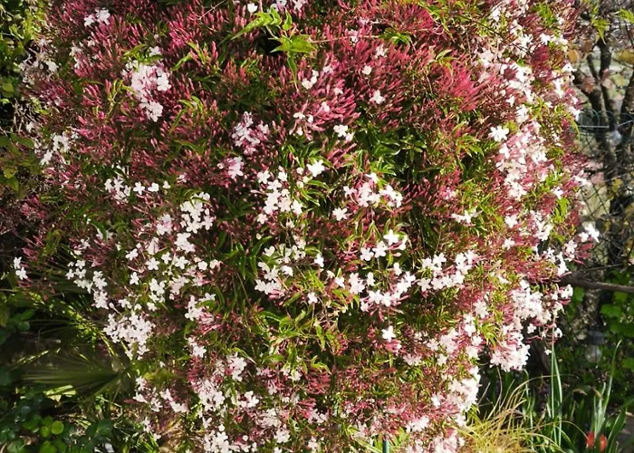 Rez De Villa Avec Beau Jardin Et Belle Vue