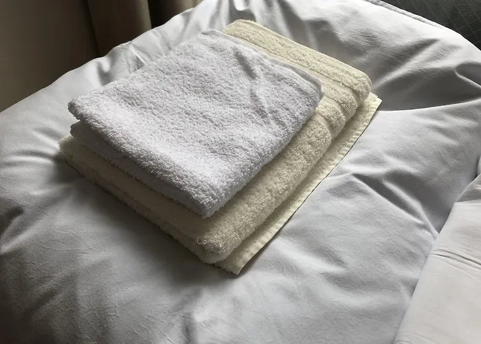 Hotel Mirai
