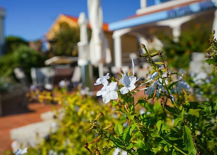 Hotel Belvedere