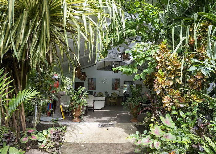 Hotel Tortuguero Beachfront