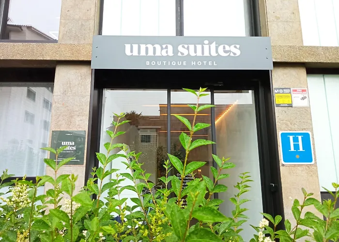 Colectia Hotel Ondarreta