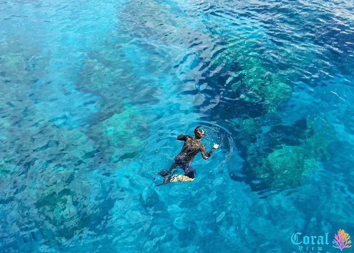 Coral View Hotel & Resort