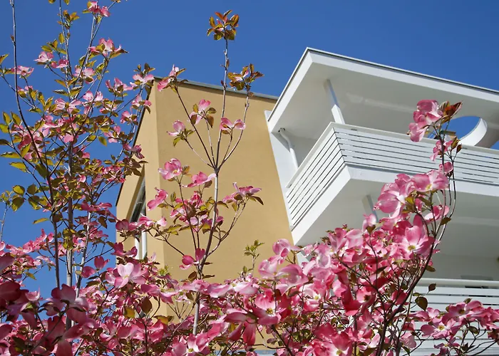 Hotel Jardis (Adults Only)