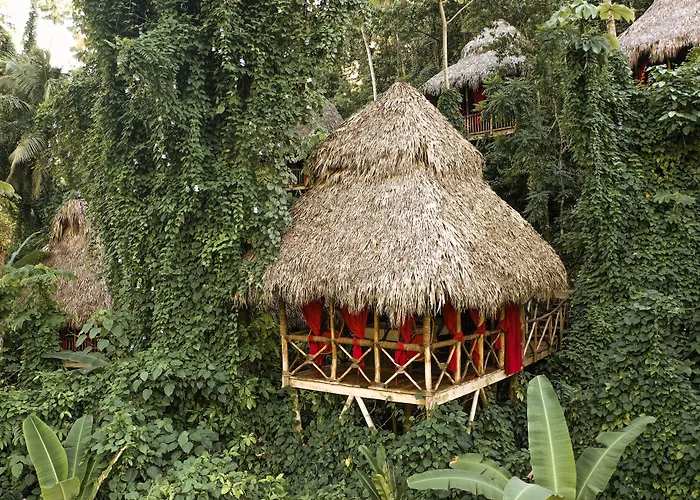 Tree House Village - Waterfall