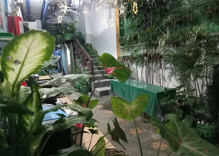 Daniela'S Place